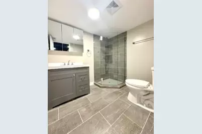 10353 S Spaulding Avenue, Chicago, IL 60655 - Photo 17