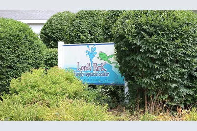 313 Snowdrop Lane, Elgin, IL 60124 - Photo 57