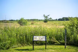 115 Cornerstone Xing, Hampshire, IL 60140 - Photo 41