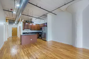 221 E Cullerton St, Chicago, IL 60616 - Photo 7