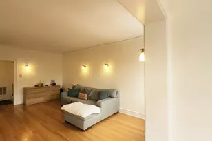 6724 S Paxton Ave, Chicago, IL 60649 - Photo 3