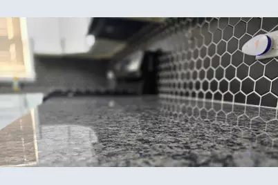 8955 S Cornell Avenue, Chicago, IL 60617 - Photo 11