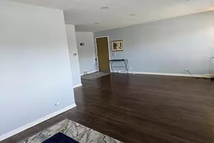 8955 S Cornell Ave, Chicago, IL 60617 - Photo 5