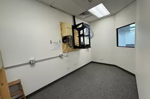 1985 Ohio St, Lisle, IL 60532 - Photo 13