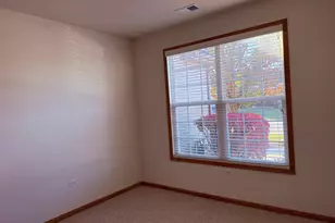 17009 Mendota Dr, Lockport, IL 60441 - Photo 11