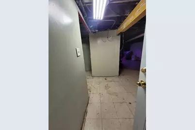 9732 S Houston Avenue, Chicago, IL 60617 - Photo 17