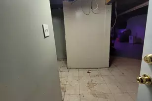 9732 S Houston Ave, Chicago, IL 60617 - Photo 17