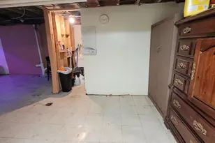 9732 S Houston Ave, Chicago, IL 60617 - Photo 19