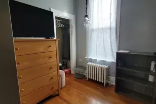 9732 S Houston Ave, Chicago, IL 60617 - Photo 9