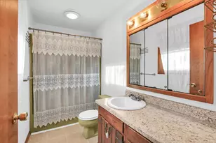 849 N Piatt St, Bement, IL 61813 - Photo 19