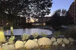 1727 W Crystal Ln, Mount Prospect, IL 60056 - Photo 13