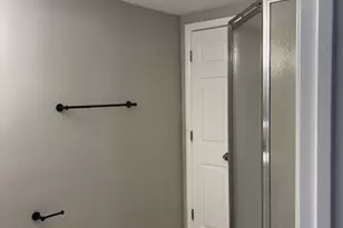 201 E Rose St, Glenwood, IL 60425 - Photo 41