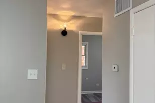 201 E Rose St, Glenwood, IL 60425 - Photo 37