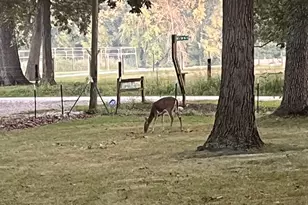 [Address not provided], Sheldon, IL 60966 - Photo 35