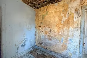 4038 W Wilcox St, Chicago, IL 60624 - Photo 19