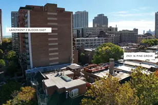 2921 N Pine Grove Ave, Chicago, IL 60657 - Photo 43