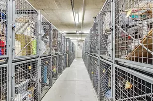 321 S Sangamon St, Chicago, IL 60607 - Photo 33