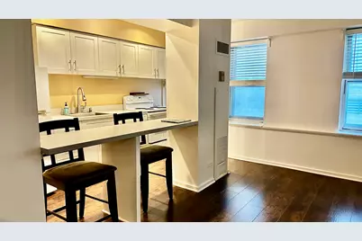 40 E 9th Street #312, Chicago, IL 60605 - Photo 9