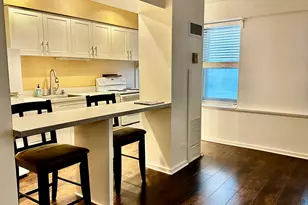 40 E 9th St, Chicago, IL 60605 - Photo 9