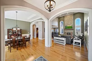 20643 Michigan Island Ct, Frankfort, IL 60423 - Photo 9