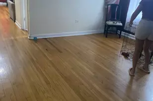 [Address not provided], Chicago, IL 60621 - Photo 11