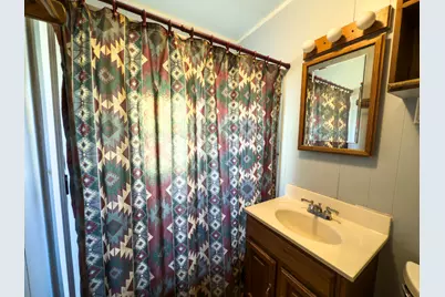 30 Plum Street, Saunemin, IL 61769 - Photo 11