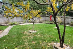 10025 S 87th Ave, Palos Hills, IL 60465 - Photo 25