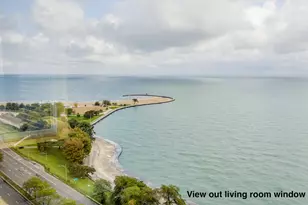 1440 N Lake Shore Dr, Chicago, IL 60610 - Photo 9