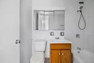 4800 S Chicago Beach Dr, Chicago, IL 60615 - Photo 13