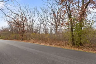 307 Frst Vw Dr, Lake Bluff, IL 60044 - Photo 11