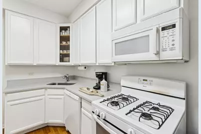 822 Washington Boulevard #3, Oak Park, IL 60302 - Photo 13