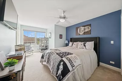 28413 W Harvest Glen Circle, Cary, IL 60013 - Photo 41