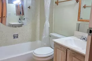 255 S West Ave S, Elmhurst, IL 60126 - Photo 5