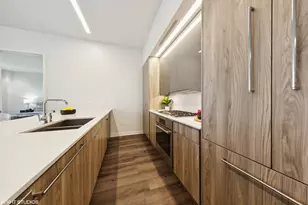 61 E Banks St, Chicago, IL 60610 - Photo 9