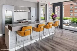 61 E Banks St, Chicago, IL 60610 - Photo 21