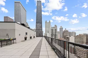 253 E Delaware Pl, Chicago, IL 60611 - Photo 15