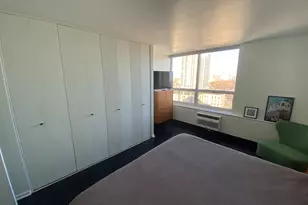 70 W Burton Pl, Chicago, IL 60610 - Photo 19