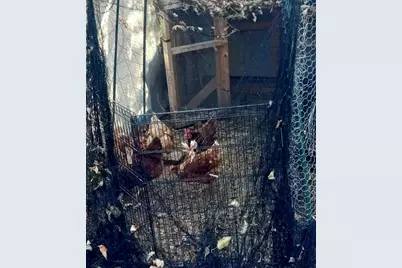 207 W Williams Street, Dwight, IL 60420 - Photo 15