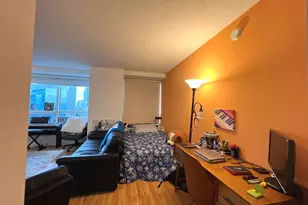 512 N McClurg Ct, Chicago, IL 60611 - Photo 7