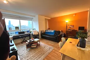 512 N McClurg Ct, Chicago, IL 60611 - Photo 5