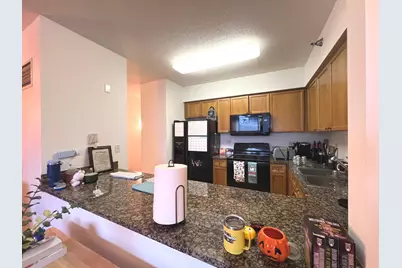 512 N McClurg Court #4909, Chicago, IL 60611 - Photo 11