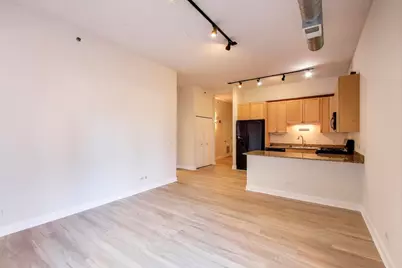 910 W Madison Street #409, Chicago, IL 60607 - Photo 3