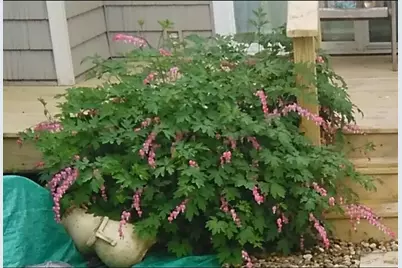 1928 Blackthorn Drive #1, Champaign, IL 61821 - Photo 25