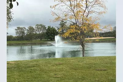 22640 Fieldstone Drive, Frankfort, IL 60423 - Photo 55