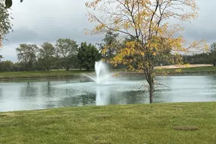 22640 Fieldstone Dr, Frankfort, IL 60423 - Photo 55