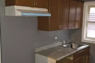 10221 S Hoxie Ave, Chicago, IL 60617 - Photo 3