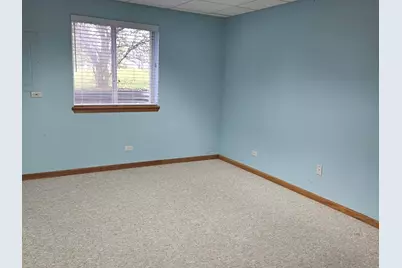 21320 W Douglas Lane, Plainfield, IL 60544 - Photo 17