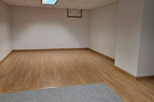 21320 W Douglas Ln, Plainfield, IL 60544 - Photo 15