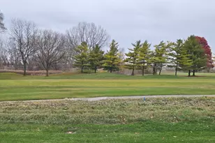 21320 W Douglas Ln, Plainfield, IL 60544 - Photo 25