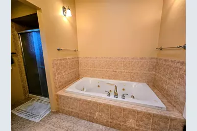 24656 S Willow Brook Trail, Crete, IL 60417 - Photo 27